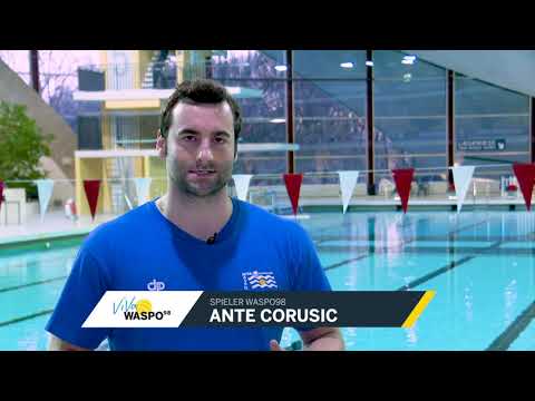 Aufruf zum Champions League Spiel gegen Szolnok - Ante Corusic