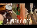 WEEKLY VLOG | Welp! I'm Single, Tears of Joy, Dating & More Bday Gifts