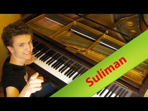 Etienne Venier - Infected Mushroom - Suliman