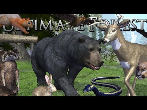 The Many Beasts of the Forest!! Bears, Bats, Cougars, Snakes, and More!! • Ultimate Forest Simulator - YouTube