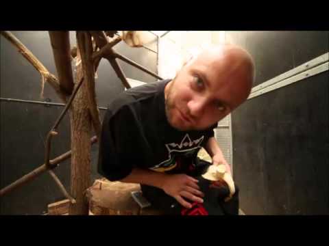 Pork Pores Porkinson - Odludzie Feat.Szad