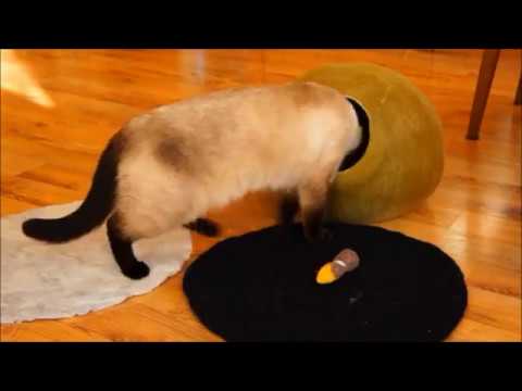 Casa para Gatos de Lana Kivikis I