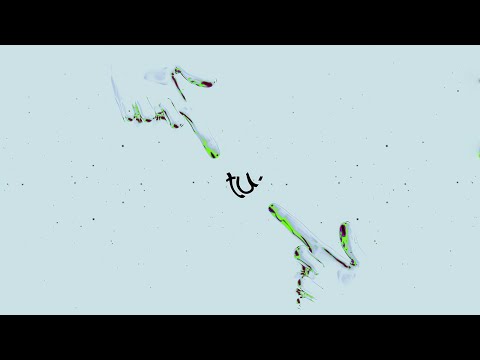 tu. - Abdullah Maharvi