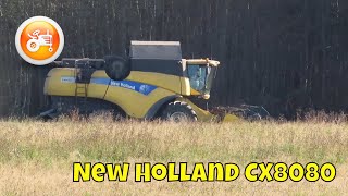 Harvest 2025 | New Holland CX8080 combine harvester