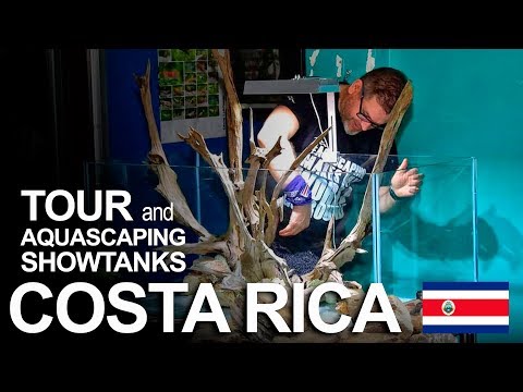 VLOG | The wonderful COSTA RICA - Tour and Workshop Showtanks