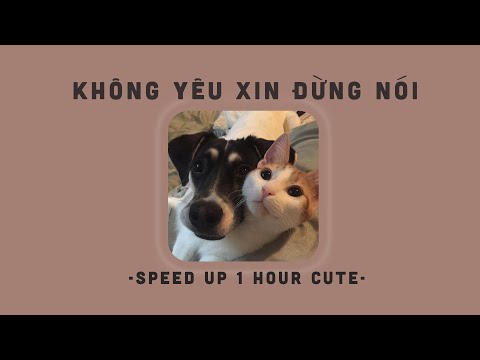 [1 HOUR] Quan tâm nhưng chẳng hề nói... Yêu Em | Không Yêu Xin Đừng Nói (𝙨𝙥𝙚𝙚𝙙 𝙪𝙥) - UMIE