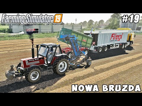 Picking up & transportation harvested potatoes | Nowa Bruzda | Farming simulator 19 | Timelapse #19