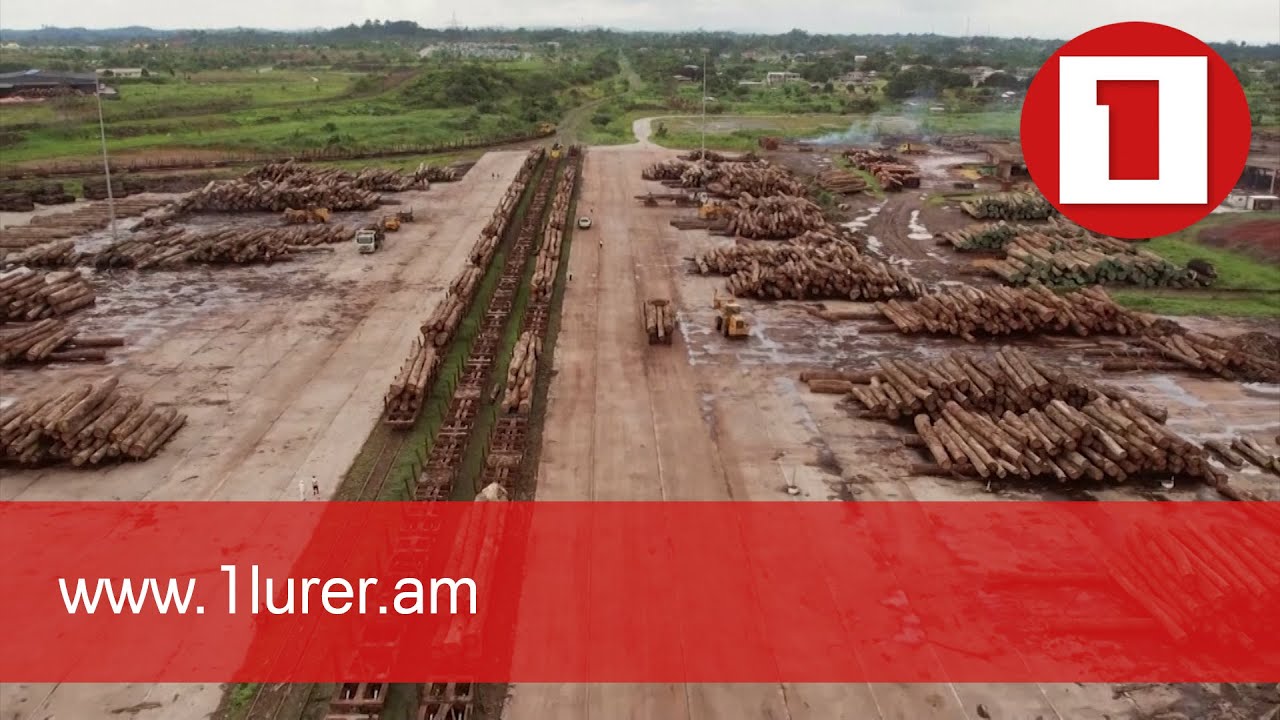 Կլիմայի փոփոխության համաժողովին երկրների ղեկավարները խոստացել են մինչև 2030 թ. վերջ տալ անտառահատմանը