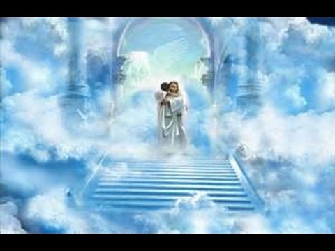 download lagu mp3 mp4 Amoeba Teen Seasons Passing, download mp3 Amoeba Teen Seasons Passing free download mp3, download mp3 Amoeba Teen Seasons Passing