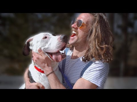 Bombargo - Already There [Official Music Video]