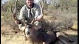 GRUPO LABERINTO ( AMAME )