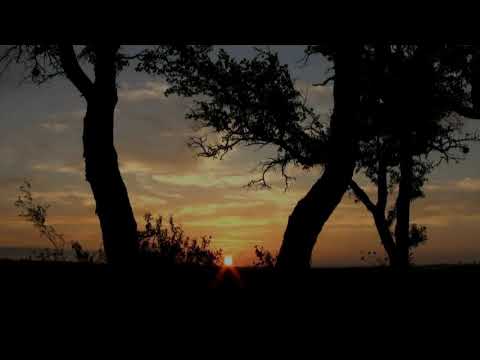 Pre - 15 Años - Camila Valiente