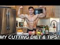 CUTTING MEAL PREP *NO SKILLS REQUIRED!!*