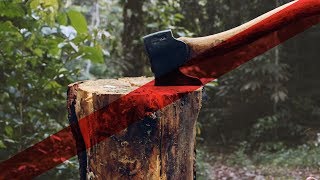 video: Urged on by 'Captain Chainsaw', Brazilians pick up tools to chop down the Amazon