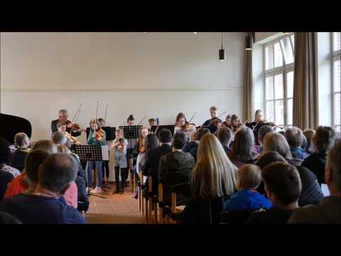 Die "Streicher ohne Namen" spielen "Faded" von Alan Walker (cover for string orchestra)