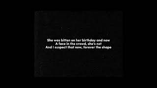 My Mistakes Were Made for You - The Last Shadow Puppets (Lyrics)