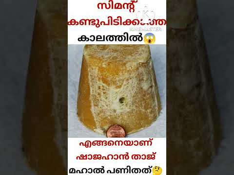 സിമന്റ്‌ ഇല്ലാതെ എങ്ങനെയാണ് താജ് മഹൽ പണിതത്😱