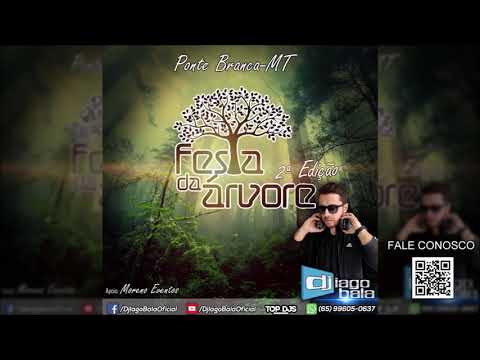 CD 2ª EDIÇÃO FESTA DA ÁRVORE PONTE BRANCA-MT - DJ IAGO BALA