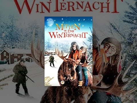 Mitten in der Winternacht