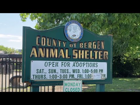 NJ Bergen County Animal Shelter Hosting A Clear the Shelter Event