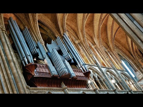 Organ Recital: Jan Liebermann