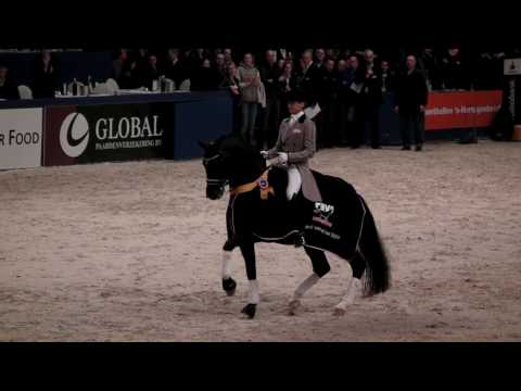 Totilas - horse of the year