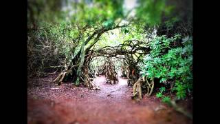 Cole - Dont Hurt Virginia / Emily / Dreamy Summer