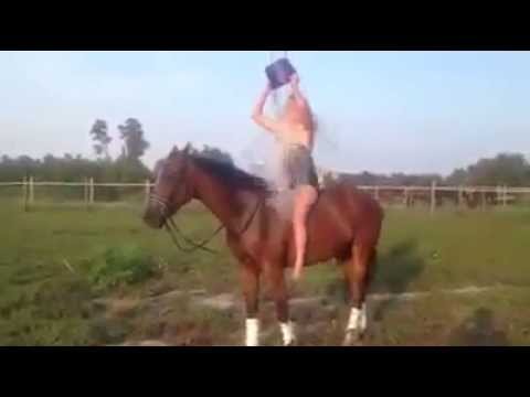 ALS' ye Destek At Üzerinde Yapılırsa