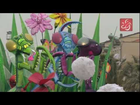 Carnevale di Viareggio 2011 - Parte 7