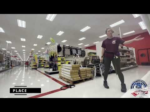 Bulletproof Dog Training video.