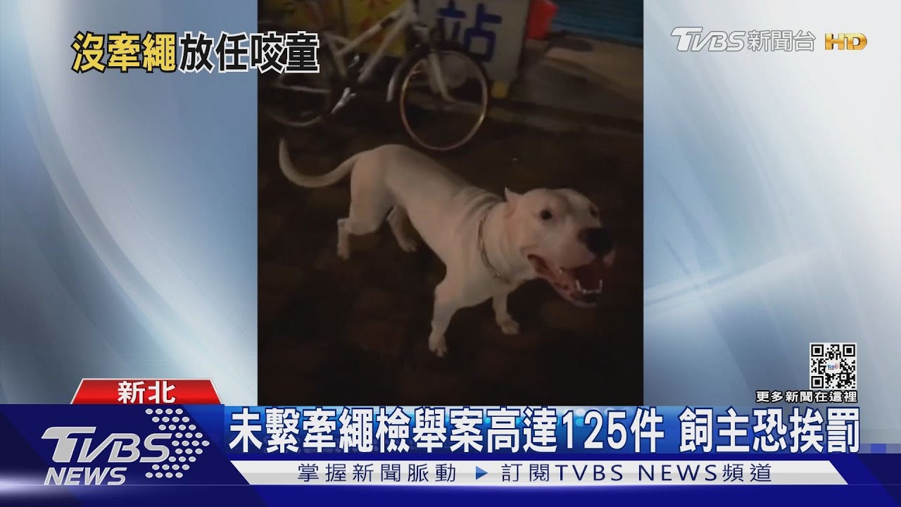 「媽媽!我好怕」大狗沒牽繩 為護女遭抓傷