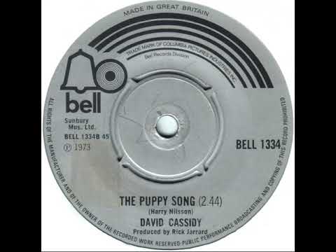 UK New Entry 1973 (196b) David Cassidy - The Puppy Song