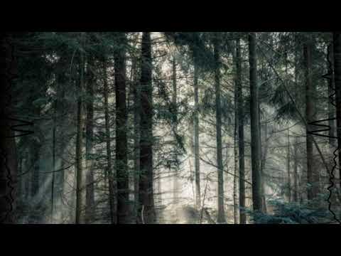 Joshua Gomez - Music Box (M3SIS Bootleg)