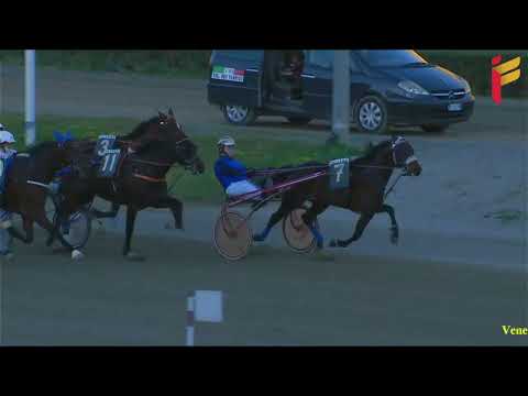 VI Corsa del 14 Gennaio 2022 - 4 Anni - Metri 2000