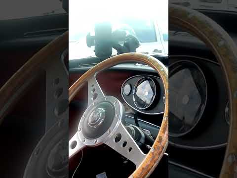 You'll Love This Mini!