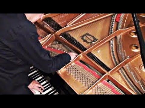 Henry Cowell - Sinister Resonance (1930)