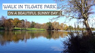 Leisure Walk in Tilgate Park, Crawley, on a beautiful winter morning