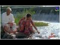 PACHAIKILIKAL THOLODU WHATSAPP STATUS FAMILY SONGS KAMALHASAN INDIAN STATUS VIDEO