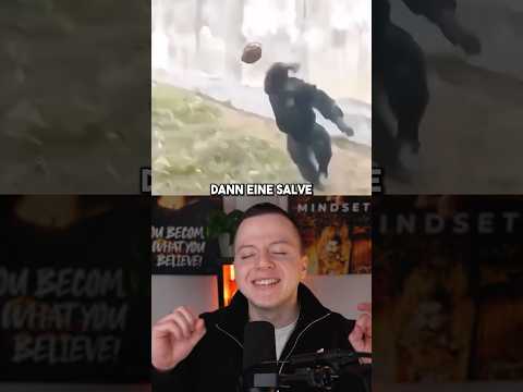 Schimpanse verblüfft die Wissenschaft