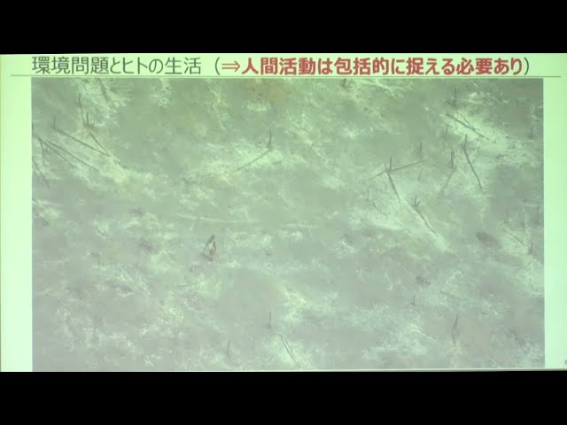 動画サムネイル