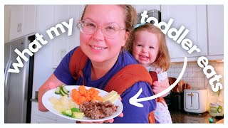 What My 15 Month Old Toddler Eats In A Day | nutrient dense wapf ancestral meals for baby