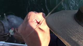 Blake and his skate.