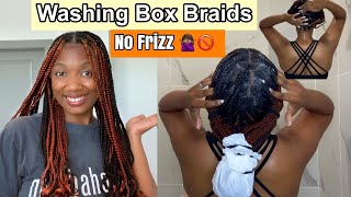 How I Wash & Maintain My Box Braids | No Frizz 💁🏾‍♀️