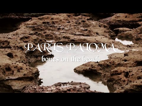 Miniatura de ​bones on the beach