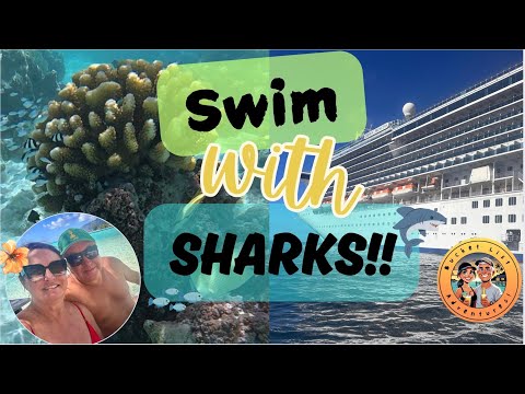 Thumbnail for Moorea Paradise | Snorkelling with Sharks, Stingrays & Island BBQ | French Polynesia Cruise