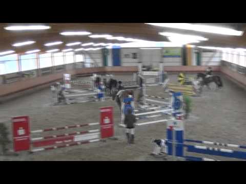 PABLITO VAN ERPEKOM Z - SPF A Dettingen 2-2012