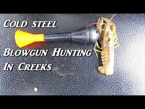 HUNTING with COLD STEEL BLOWGUN