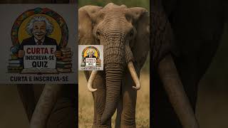 Quiz dos Elefantes: Quantos Dedos a Tromba Tem?#quiz #elefantes #reinoanimal #curiosidades #educação