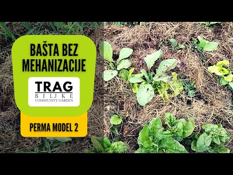 GARDEN WITHOUT MECHANISATION - NO DIG - PERMA MODEL 2 (2021) [TRACE OF THE PLANT]