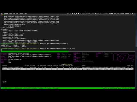 Istio 1.6 Deep Dive Certificate Rotation - Introduction